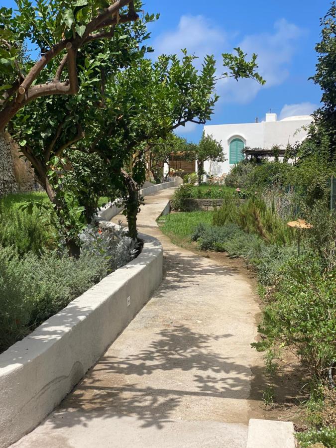 Capri Suite Marina Grande Екстер'єр фото